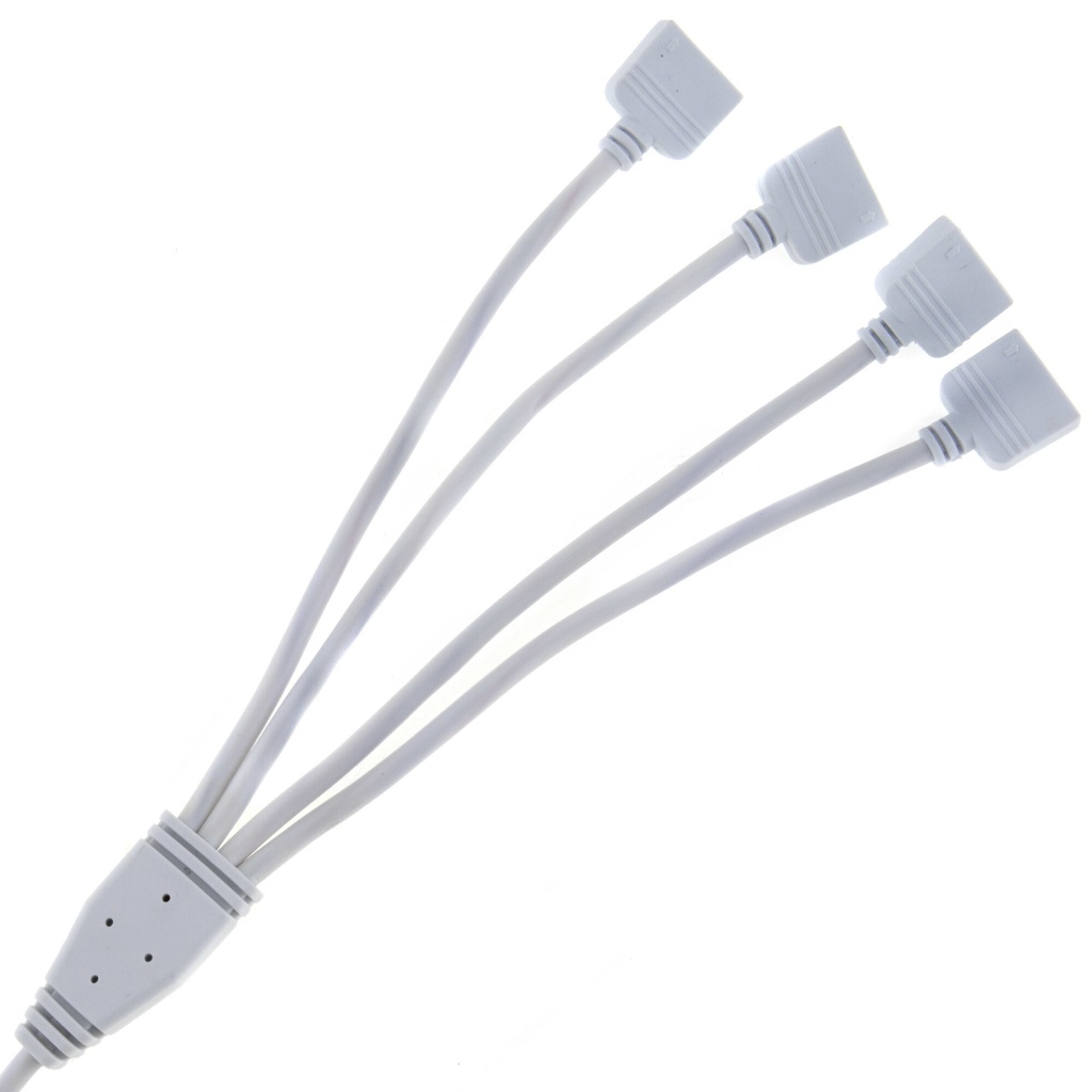 RGBW distributor 1 - 4 - Image 2