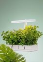 Airam Daisy Grow ligh 20W 3500K - Image 2
