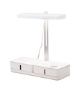 Airam Daisy Grow ligh 20W 3500K - Image 3