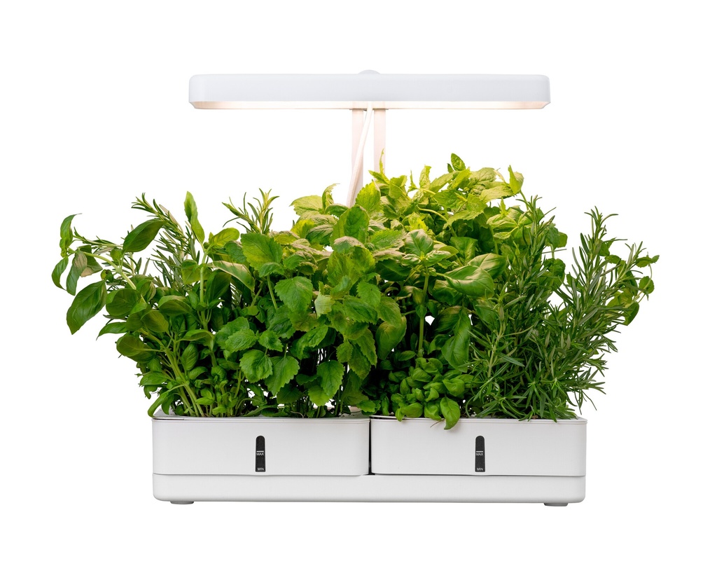 Airam Daisy Grow ligh 20W 3500K - Image 4