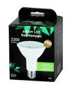 Airam E27 reflector LED plant lamp 9.5W 3500K - Image 4