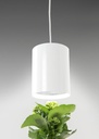 Airam Fiora Botanical luminaire 9.5W 3500K 800lm - Image 3