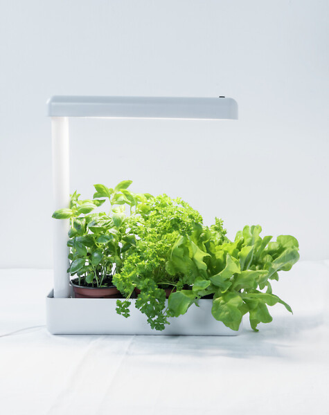 Airam Herby LED growth lamp 4000K 10W - Image 3