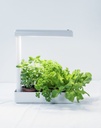 Airam Herby LED growth lamp 4000K 10W - Image 3