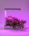 Airam Herby LED growth lamp 4000K 10W - Image 4