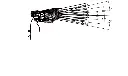 Mira-vinkel.webp