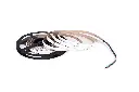 840led-10mm-2.webp