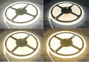 COB LED strip CCT, 15W/m 24V IP67 - Image 3