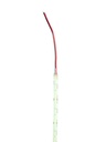 CSP LED strip 10mm 4000K 15W/m IP20 - Image 2