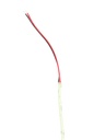 CSP LED strip 8mm 6000K 10W/m IP20 - Image 2