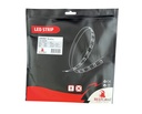 CSP LED strip 8mm 6000K 10W/m IP20 - Image 4