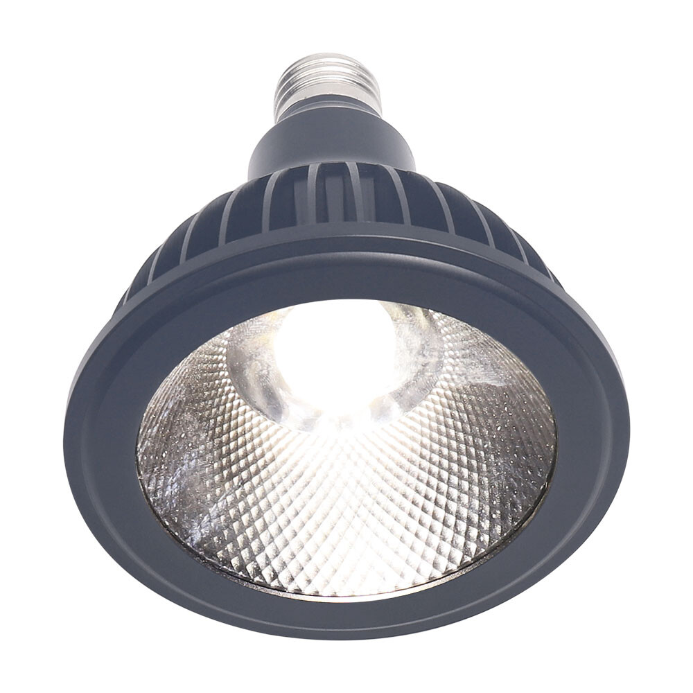E27 COB plant lamp 100W CW - Image 4