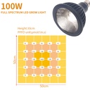 E27 COB plant lamp 100W CW - Image 6