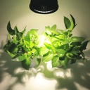 E27 COB plant lamp 100W CW - Image 7