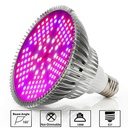 E27 plant lamp 100W Full spectrum - Image 2