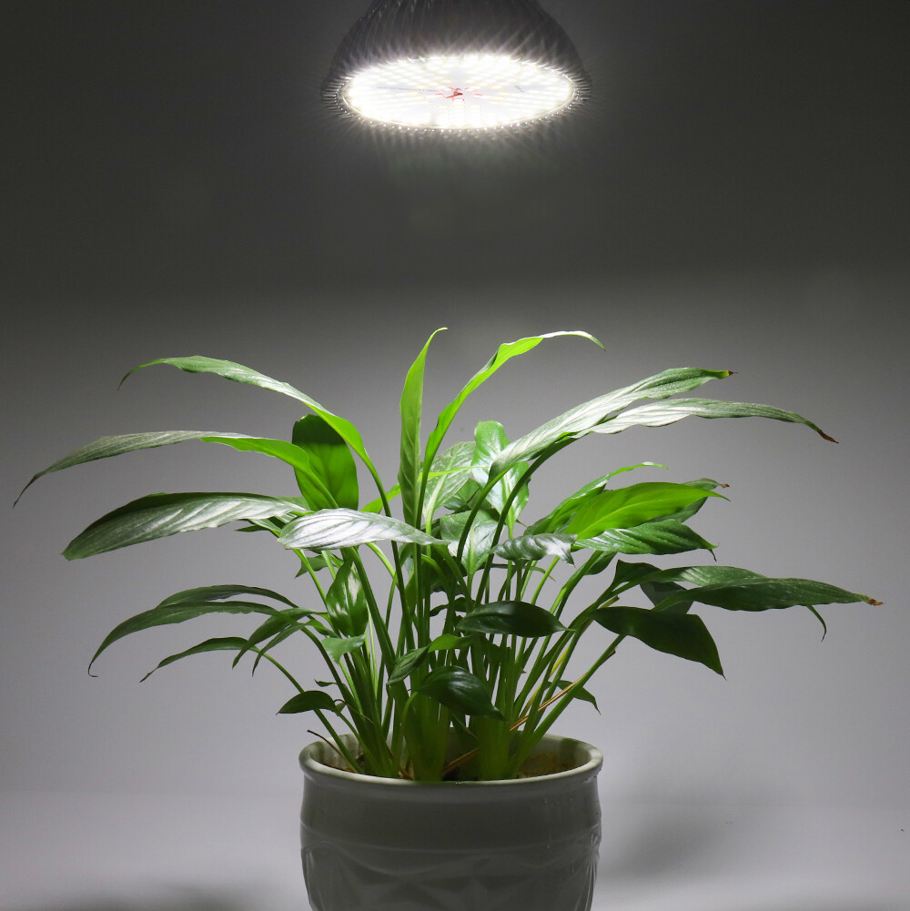 E27 plant lamp 120W Full spectrum - Image 4