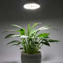 E27 plant lamp 120W Full spectrum - Image 4