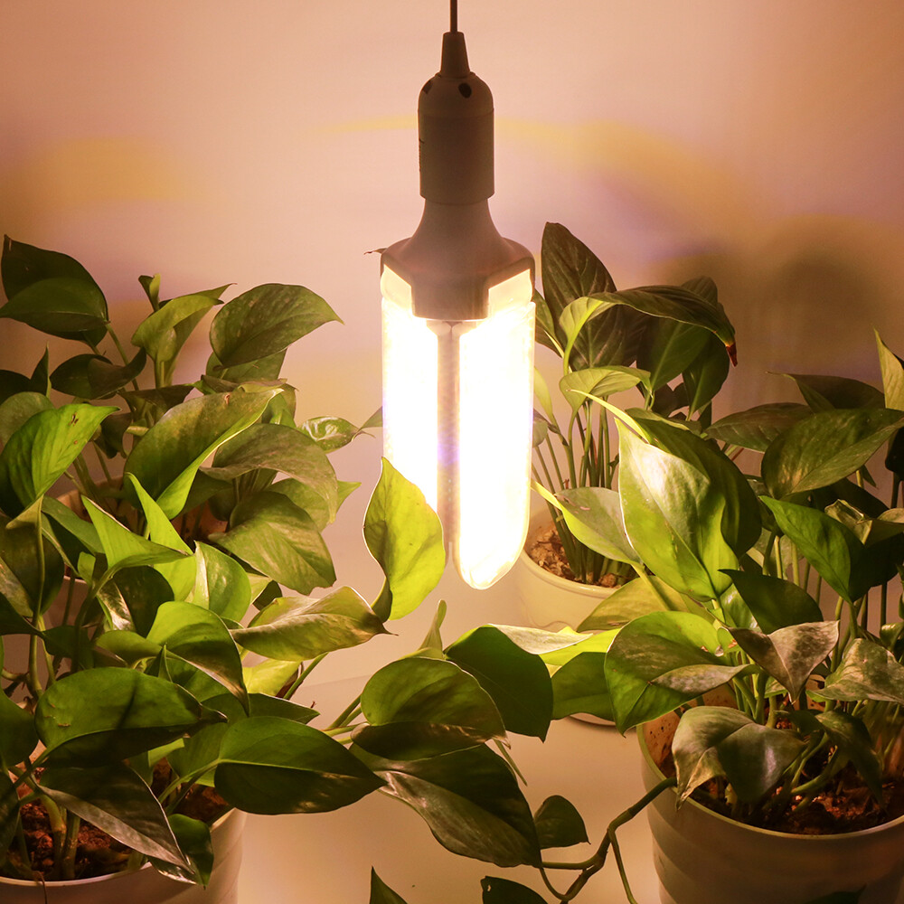 E27 plant lamp 150W Full spectrum - Image 4