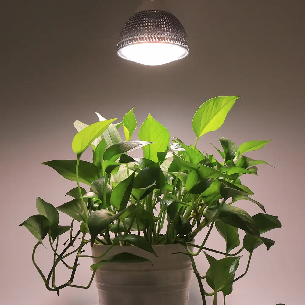 E27 plant lamp 150W Full spectrum - Image 7