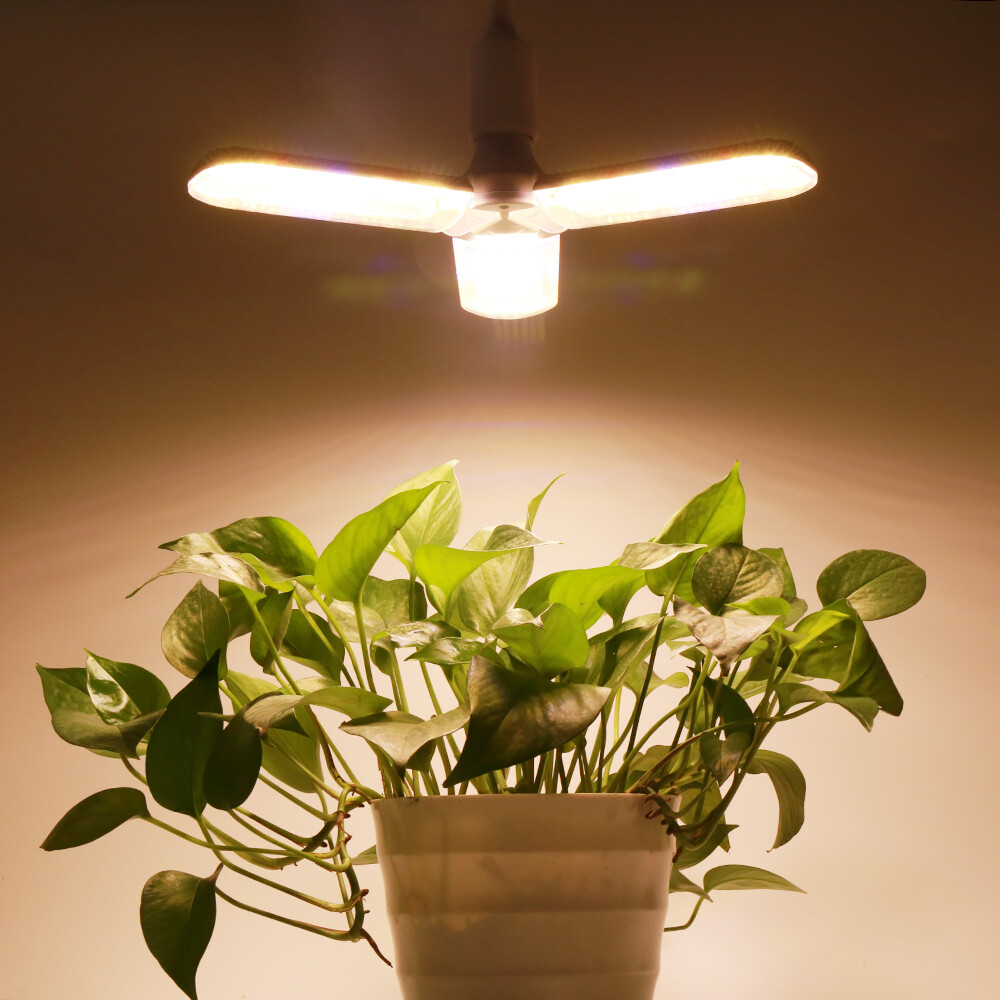 E27 plant lamp 150W Full spectrum - Image 6