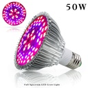 E27 plant lamp 50W Full spectrum - Image 3