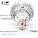 E27 plant lamp 50W Full spectrum - Image 5