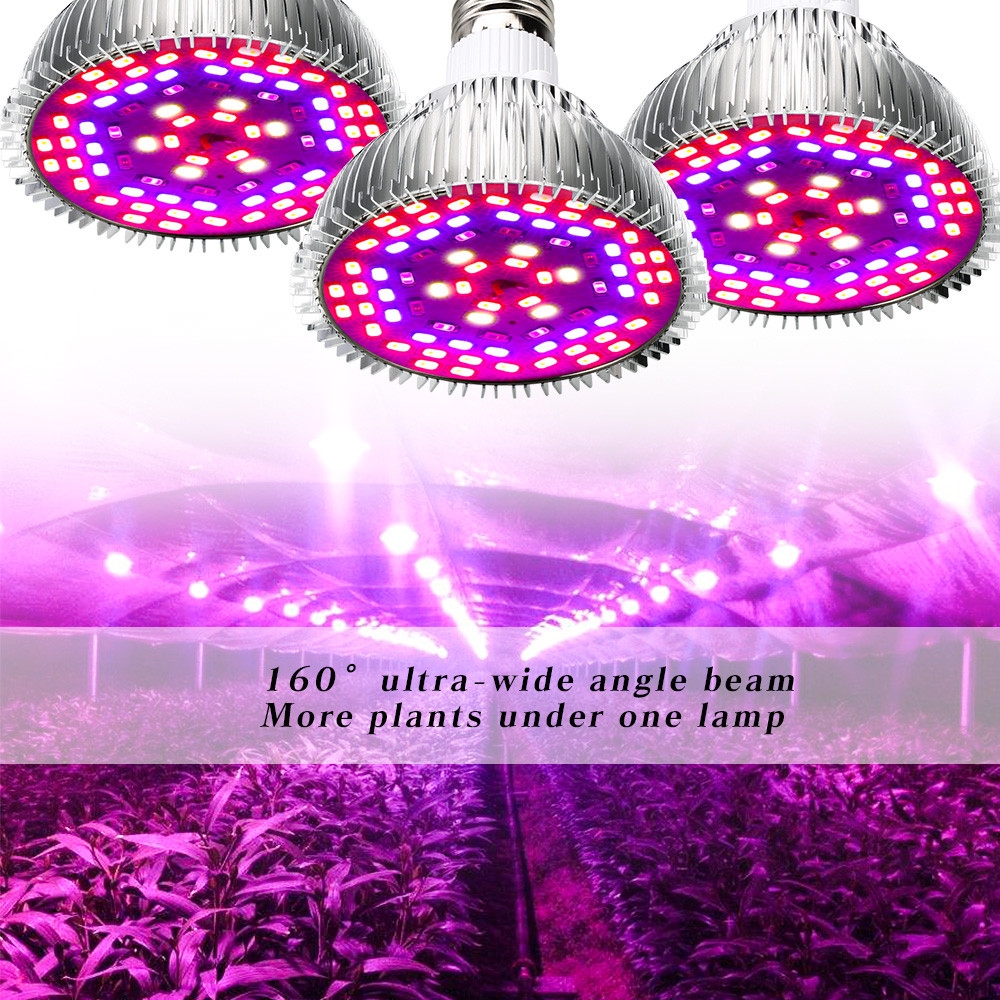 E27 plant lamp 50W Full spectrum - Image 6