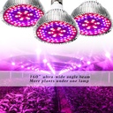 E27 plant lamp 50W Full spectrum - Image 6