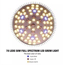 E27 plant lamp 50W Full spectrum - Image 2