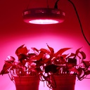 LED Plant UFO Grow lamp 300W Full spectrum - Image 6