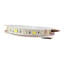 Ledstrip 5050 RGB+CCT - Image 2