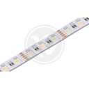 LEDstrip RGBWW 5050 5m 300led 12mm 19,2W - Image 2
