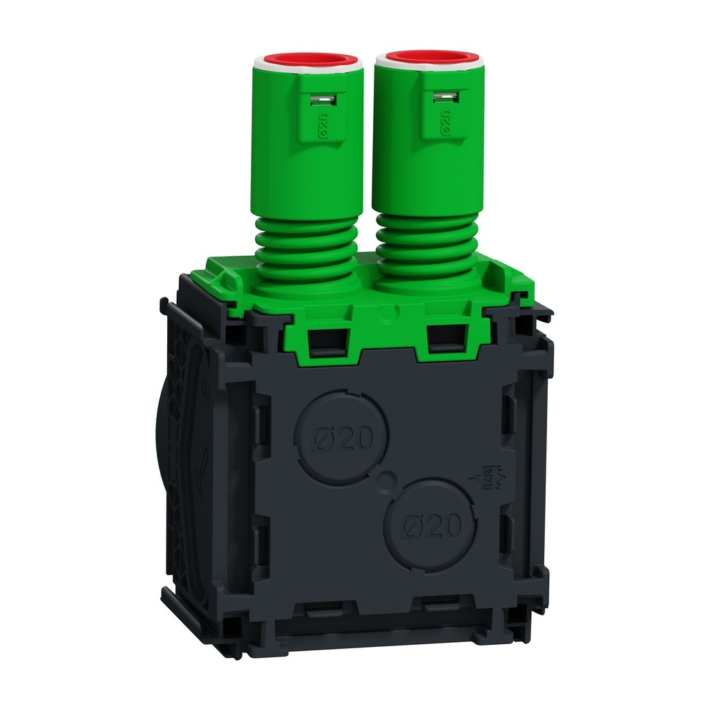 455543 - Image 6