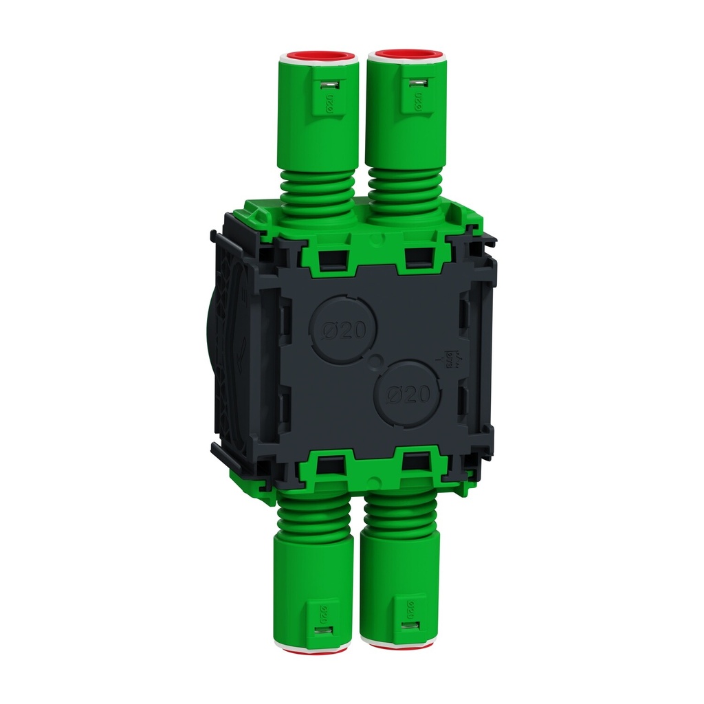 455567 - Image 8