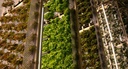 Pro plant LED luminaire 40W FSG - Image 3