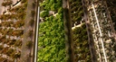 Pro plant LED luminaire 40W FSM - Image 3