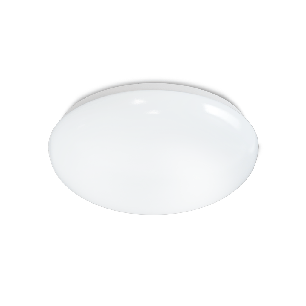 LED Plafond 24W 6500K
