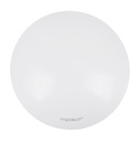 Led Plafond 18W 6300K