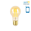 E27 5W 6W FILAMENT A60 CCT WIFI + Bluetooth