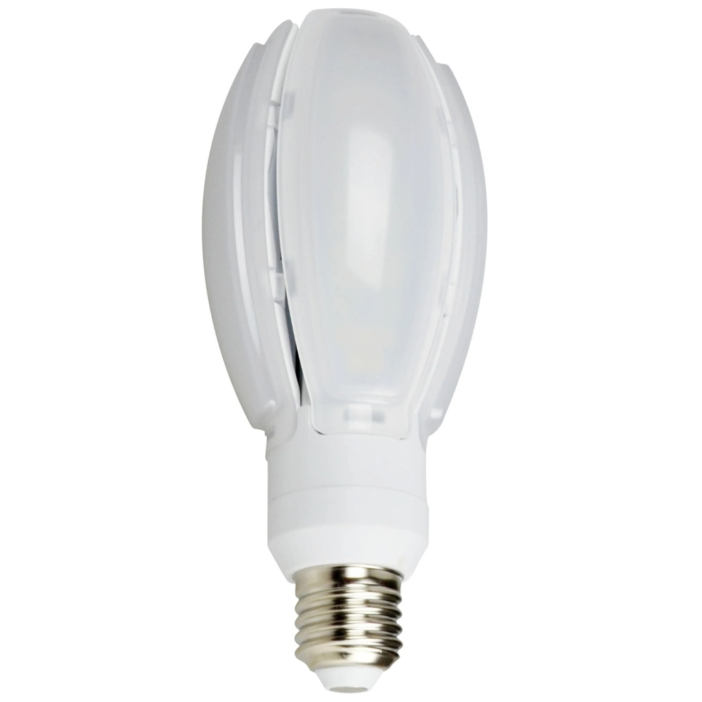 LED Garden lamp Olive 30W E27 4000K