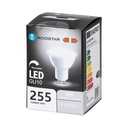 LED Spot GU10 3W Cold White 120° 865 DIM