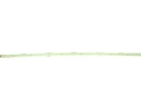CSP LED strip 8mm 3000K 10W/m IP20