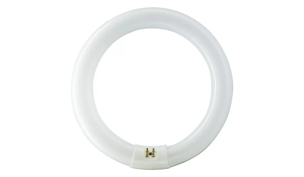 MAS Circular Super 80 TL-E G10q 40W/830 1CT/12