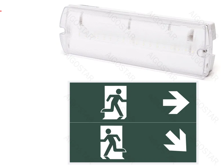 Emergency Light 4W 6500K