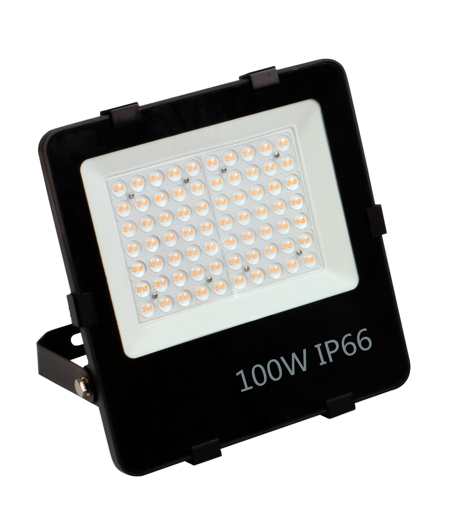LED Projektør PRO 100W 3000K IP66 830