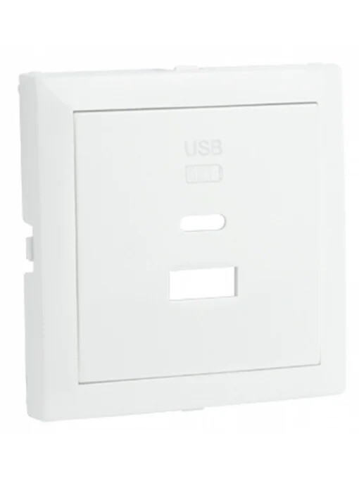 Efapel Cover plate for USB double charger type A + C