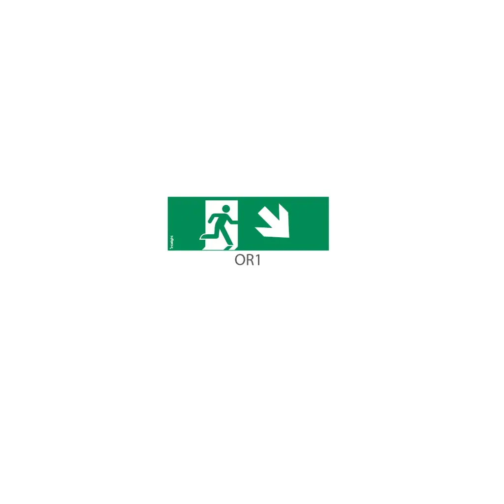 Pictogram for Emergency Light ORION 300x100mm