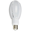 LED LED Havelampe Olive 30W E27 3000K